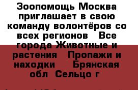 Зоопомощь.Москва приглашает в свою команду волонтёров со всех регионов - Все города Животные и растения » Пропажи и находки   . Брянская обл.,Сельцо г.